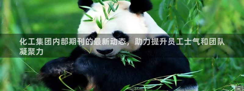球盟会app网址多少号：化工集团内部期刊的最新动态，助力提升