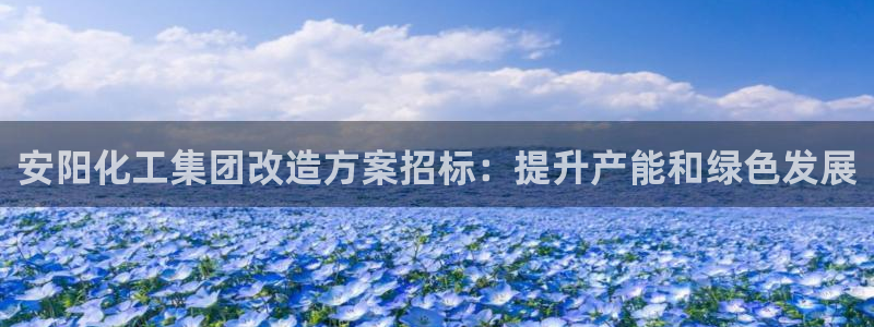 球盟会黑款吗还是白款：安阳化工集团改造方案招标：提升产能和绿
