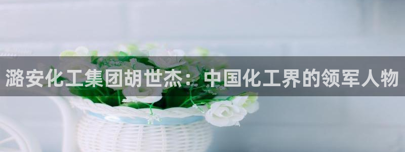 球盟会qmh - 球盟会官方网站：潞安化工集团胡世杰：中国化