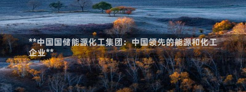 球盟会和中欧：**中国国储能源化工集团：中国领先的能源和化工