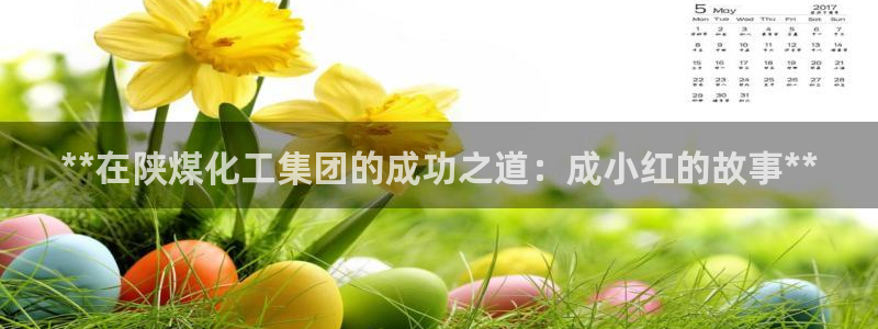 球盟会黑嘛：**在陕煤化工集团的成功之道：成小红的故事**