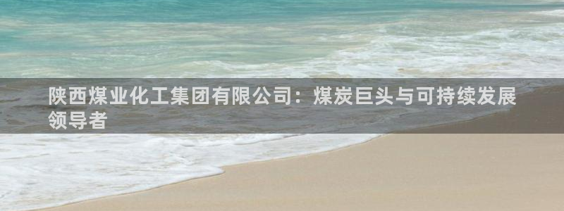 球盟会黑台子吗：陕西煤业化工集团有限公司：煤炭巨头与可持续发