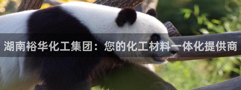 球盟会qmh官网：湖南裕华化工集团：您的化工材料一体化提供商