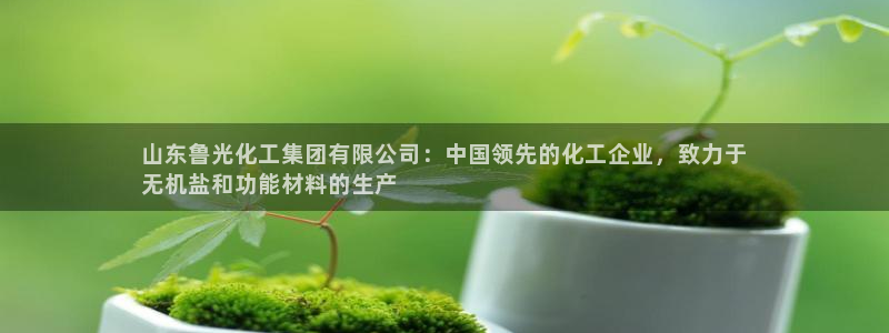 球盟会封号：山东鲁光化工集团有限公司：中国领先的化工企业，致