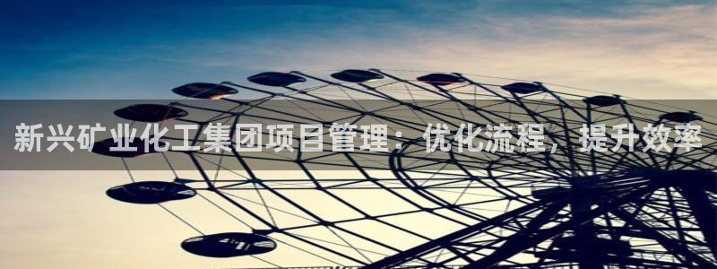 球盟会能退钱吗是真的吗：新兴矿业化工集团项目管理：优化流程，