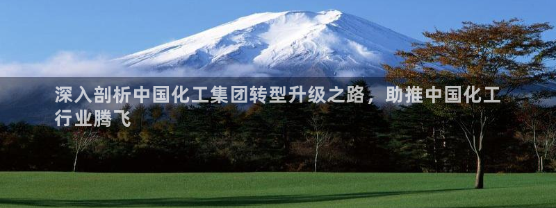 球盟会网页登录入口：深入剖析中国化工集团转型升级之路，助推中