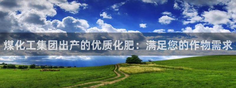 球盟会可靠不：煤化工集团出产的优质化肥：满足您的作物需求