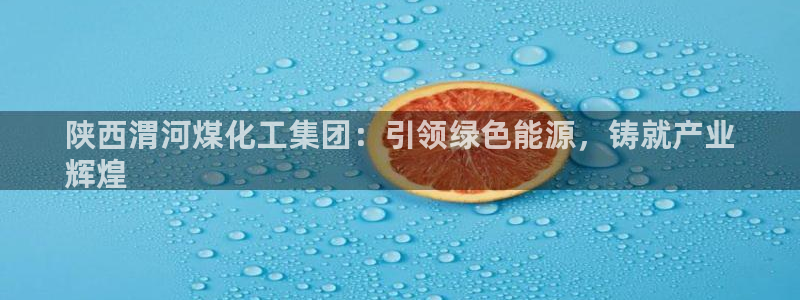 球盟会电子游戏平台：陕西渭河煤化工集团：引领绿色能源，铸就产