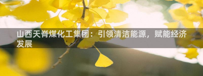 球盟会官方网址入口：山西天脊煤化工集团：引领清洁能源，赋能经