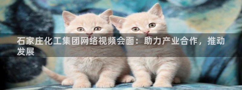 球盟会游戏：石家庄化工集团网络视频会面：助力产业合作，推动
