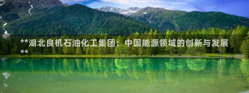球盟会头号玩家是谁：**湖北良机石油化工集团：中国能源领域的