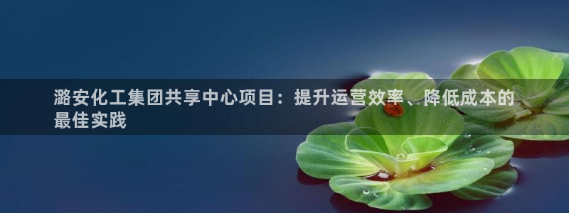 球盟会qmh：潞安化工集团共享中心项目：提升运营效率、降低成