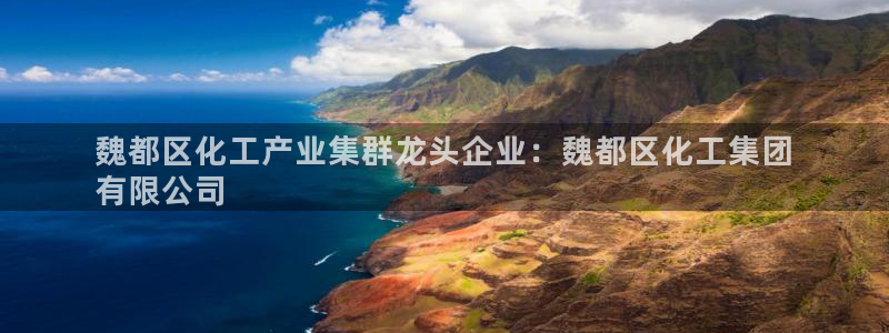 球盟会能退钱吗：魏都区化工产业集群龙头企业：魏都区化工集团
