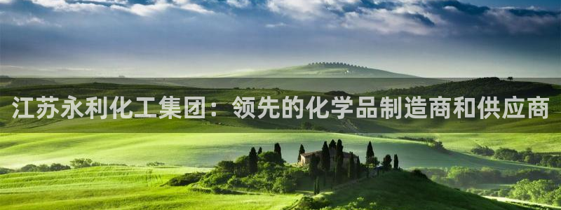 球盟会官网入口：江苏永利化工集团：领先的化学品制造商和供应商