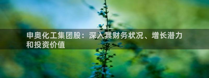 球盟会qmh网址：申奥化工集团股：深入其财务状况、增长潜力
