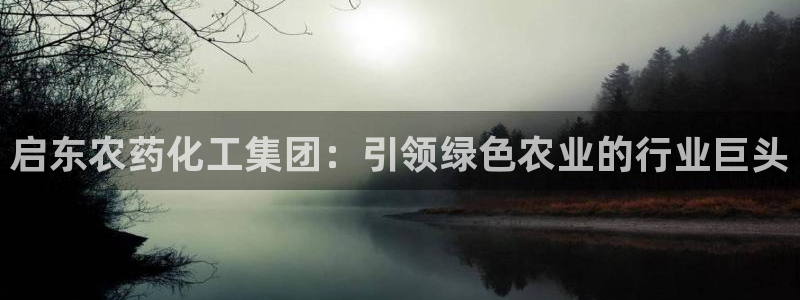 球盟会黑钱