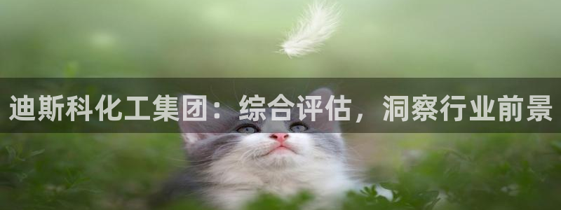 球盟会进不去：迪斯科化工集团：综合评估，洞察行业前景