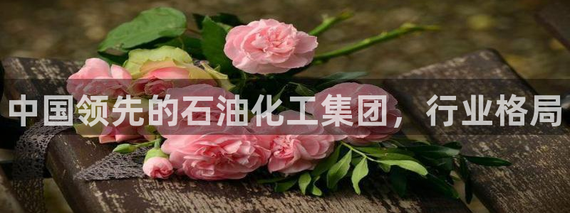 球盟会app最新地址下载安装：中国领先的石油化工集团，行业格