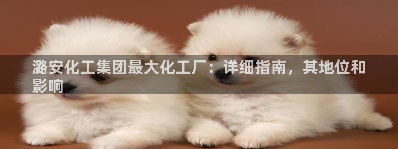 球盟会有没有黑单的人：潞安化工集团最大化工厂：详细指南，其地