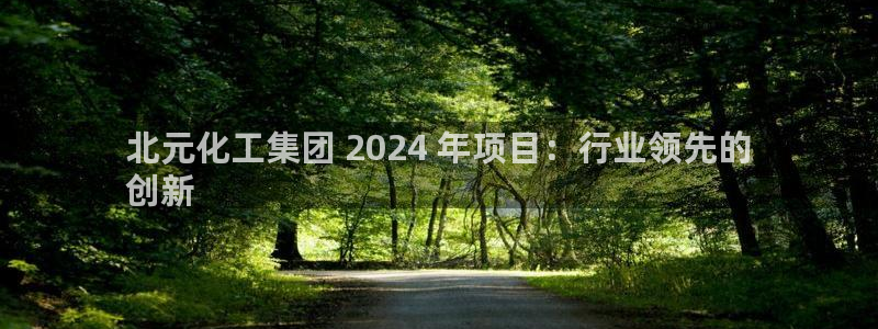 球盟会娱乐平台：北元化工集团 2024 年项目：行业领先的

