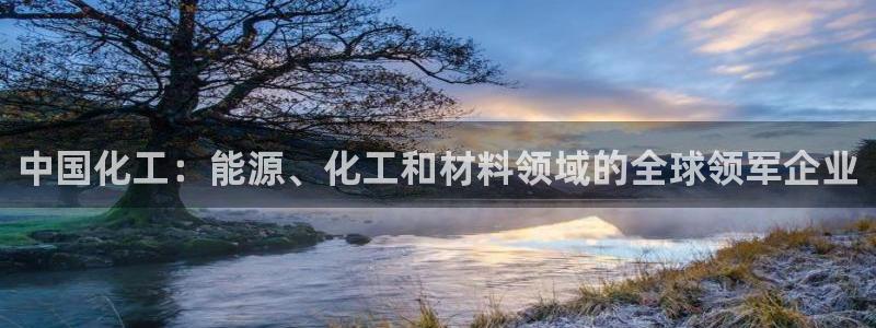 球盟会能退钱吗：中国化工：能源、化工和材料领域的全球领军企业