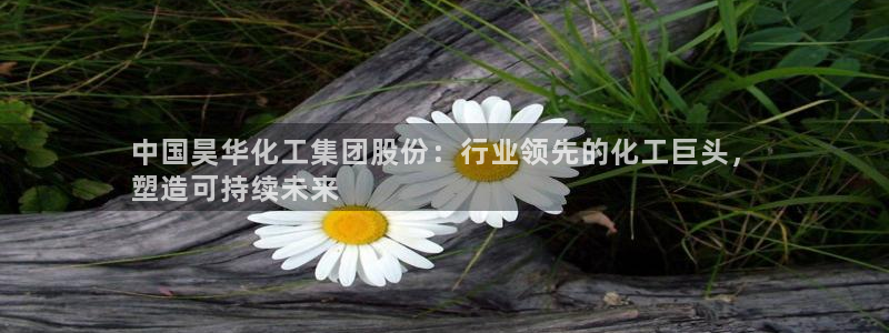 球盟会连接：中国昊华化工集团股份：行业领先的化工巨头，
塑造