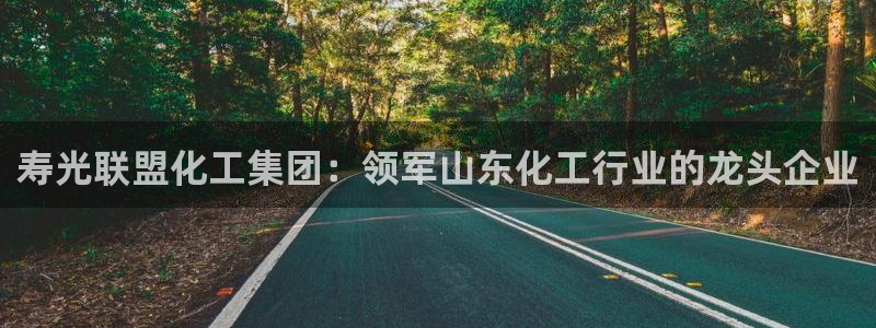 球盟会黑台子：寿光联盟化工集团：领军山东化工行业的龙头企业