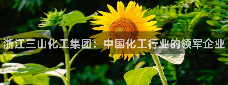 球盟会官方：浙江三山化工集团：中国化工行业的领军企业