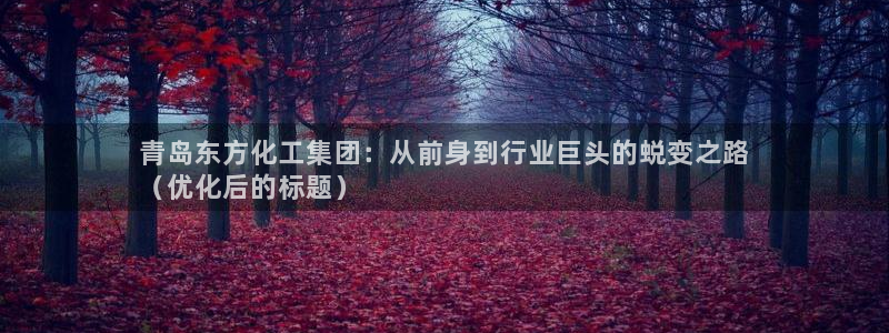 球盟会qmh官网：青岛东方化工集团：从前身到行业巨头的蜕变之