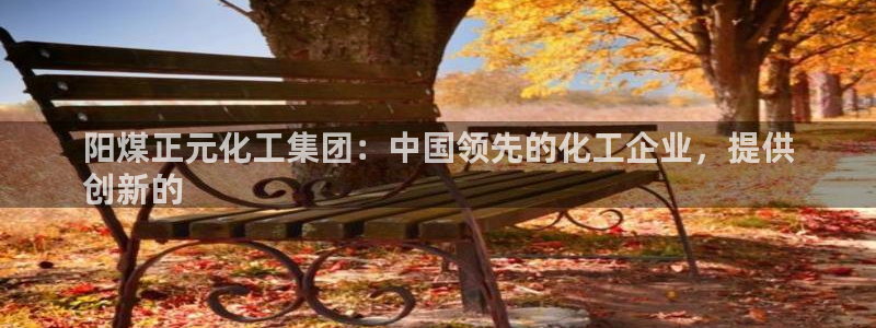 球盟会下载最新版：阳煤正元化工集团：中国领先的化工企业，提供