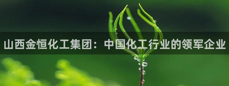 球盟会网页登录：山西金恒化工集团：中国化工行业的领军企业