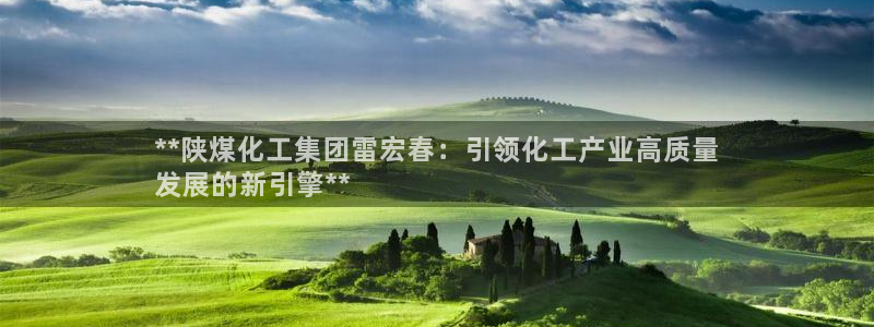 球盟会(中国)官方网站：**陕煤化工集团雷宏春：引领化工产业