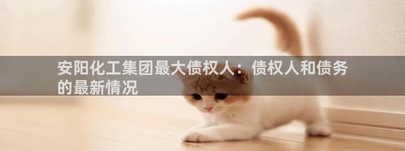 球盟会app手机登录：安阳化工集团最大债权人：债权人和债务
