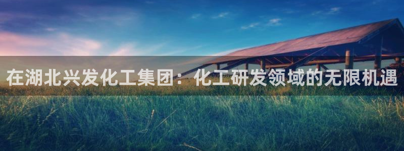 球盟会官网网页版：在湖北兴发化工集团：化工研发领域的无限机遇