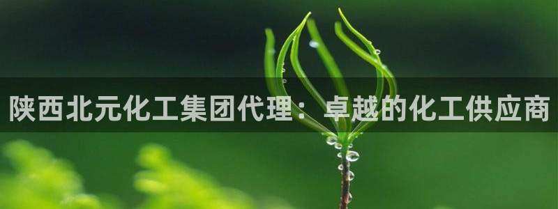 球盟会app最新地址在哪看：陕西北元化工集团代理：卓越的化工