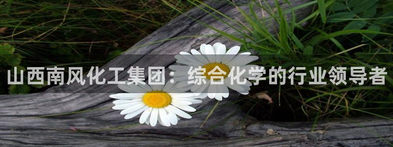 球盟会优惠券：山西南风化工集团：综合化学的行业领导者
