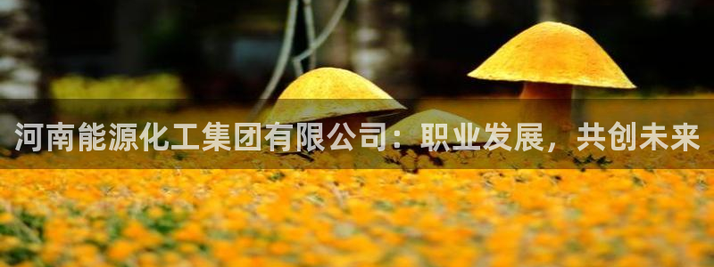 球盟会官方网站是什么