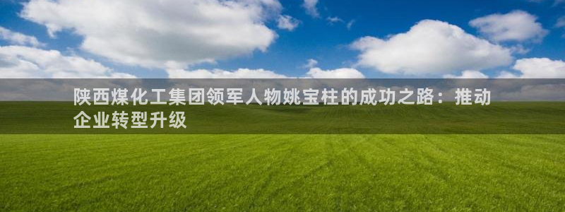 球盟会app：陕西煤化工集团领军人物姚宝柱的成功之路：推动
