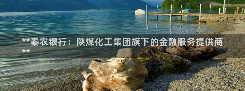 球盟会入口：**秦农银行：陕煤化工集团旗下的金融服务提供商
