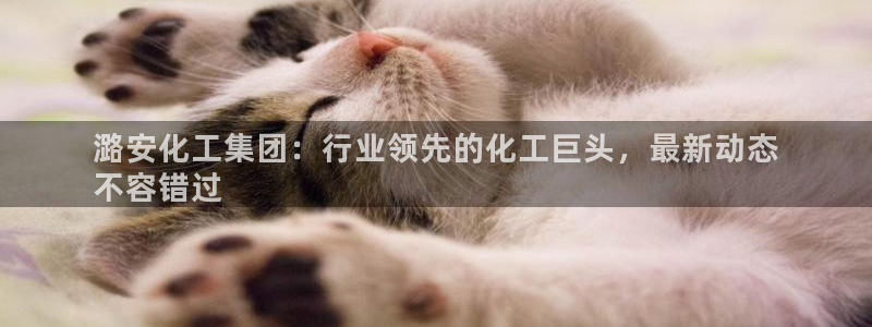 球盟会头号玩家是谁：潞安化工集团：行业领先的化工巨头，最新动