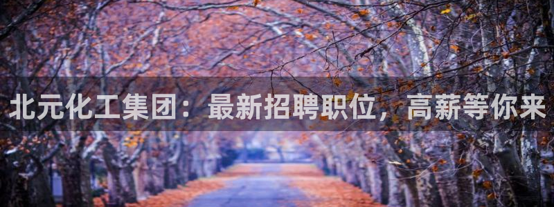 球盟会优惠券：北元化工集团：最新招聘职位，高薪等你来