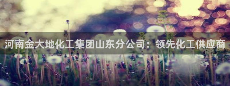 球盟会网页登录app下载地址：河南金大地化工集团山东分公司：