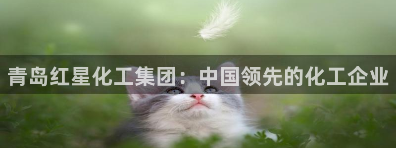 千亿球盟会：青岛红星化工集团：中国领先的化工企业