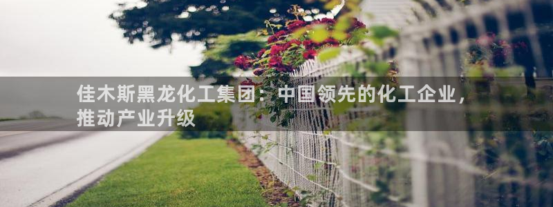 球盟会官方客服：佳木斯黑龙化工集团：中国领先的化工企业，
推