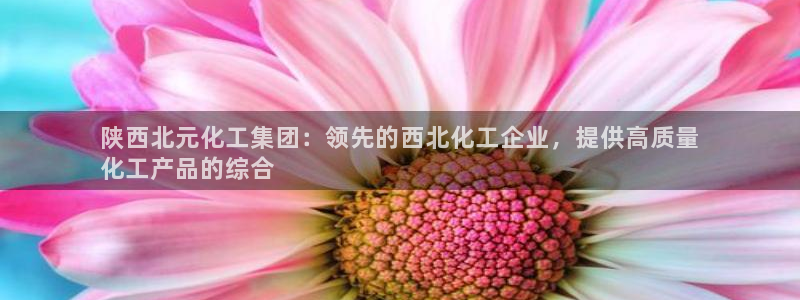 球盟会可以提现么是真的吗：陕西北元化工集团：领先的西北化工企