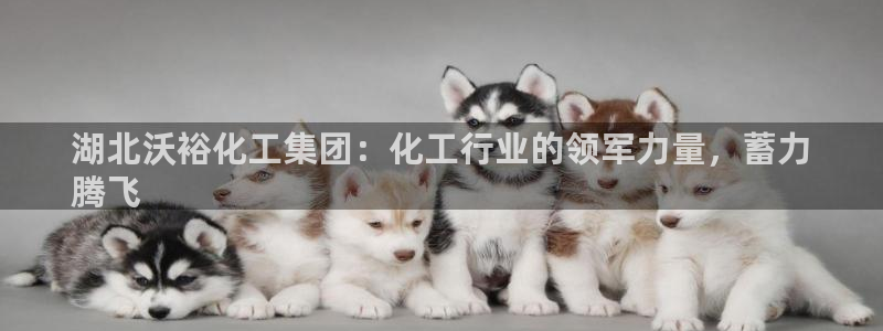 球盟会能提现吗是真的吗：湖北沃裕化工集团：化工行业的领军力量