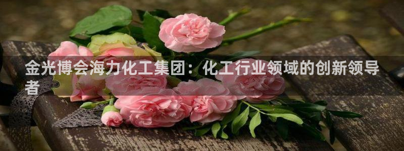 球盟会黑网：金光博会海力化工集团：化工行业领域的创新领导
者