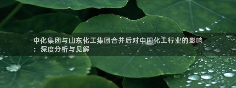 球盟会有限公司怎么样：中化集团与山东化工集团合并后对中国化工