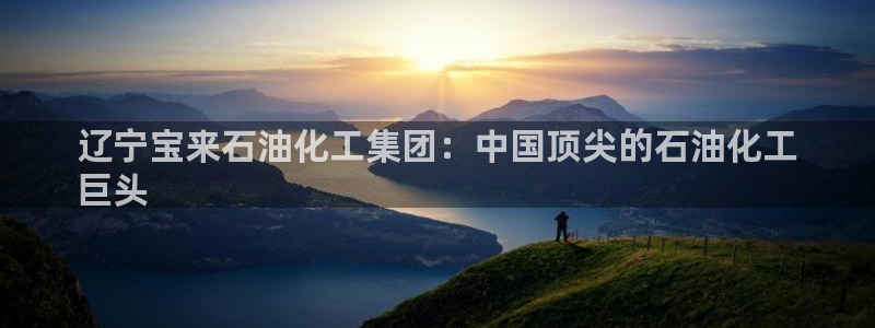 球盟会官方客服：辽宁宝来石油化工集团：中国顶尖的石油化工
巨