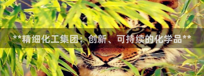 球盟会qmh登录地址：**精细化工集团：创新、可持续的化学品